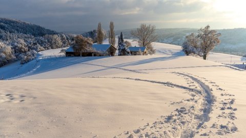 Зима. Фото: pixabay