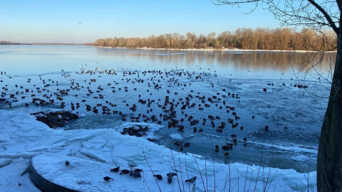 Прогноз погоды. Фото: Олег Приходько