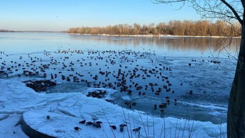Прогноз погоды Фото: Олег Приходько