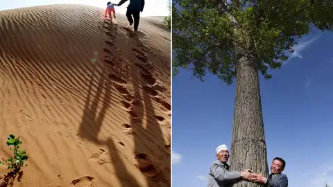 China sees 78.1 billion trees planted in 40 years. Photo by Xinhua.