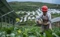 A villager picks vegetables at a photovoltaic power station in Weining Yi, Hui and Miao Autonomous County, Bijie, southwest China's Guizhou Province. Photo by Xinhua/Tao Liang.