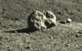 "Mystery Hut" on the Moon. Photo by Xinhua.