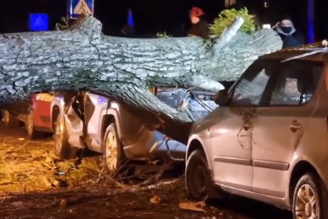Скриншот видео dtp.kiev.ua