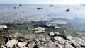 Ice floes in the coastal waters in Qingdao, east China's Shandong Province.  Photo by Yu Fangping/Xinhua.