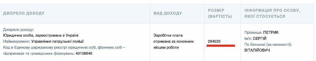 Декларація Олександра Петрика. Фото: public.nazk.gov.ua