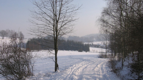 Зима. Фото: pixabay