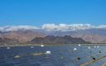 A photovoltaic power plant in Hami, northwest China's Xinjiang Uygur Autonomous Region. Photo by Xinhua/Zhao Ge.