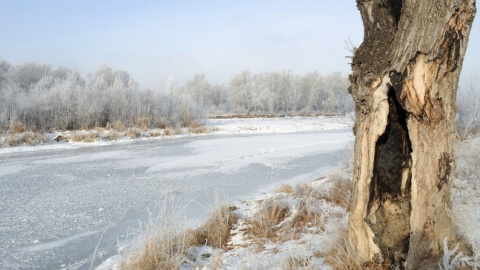 Зима. Фото: pixabay