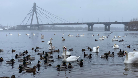 Погода в Украине. Фото: Олег Приходько 