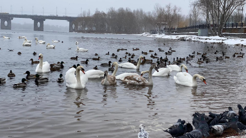 Весна.  Фото: Олег Приходько