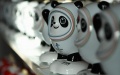 Bing Dwen Dwen, the panda mascot of The Beijing 2022 Olympic Winter Games. Photo by Xinhua.