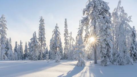 Зима. Фото: pixabay