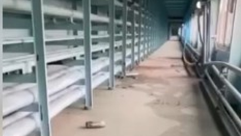 Дыры в стенах, снаряды на полу. "Энергоатом" показал последствия штурма ЗАЭС оккупантамим