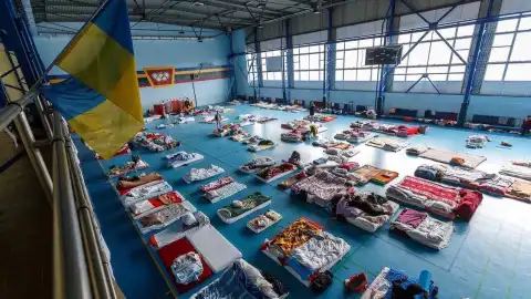 З початку воєнних дій на Закарпаття прибуло понад півмільйона вимушених переселенців