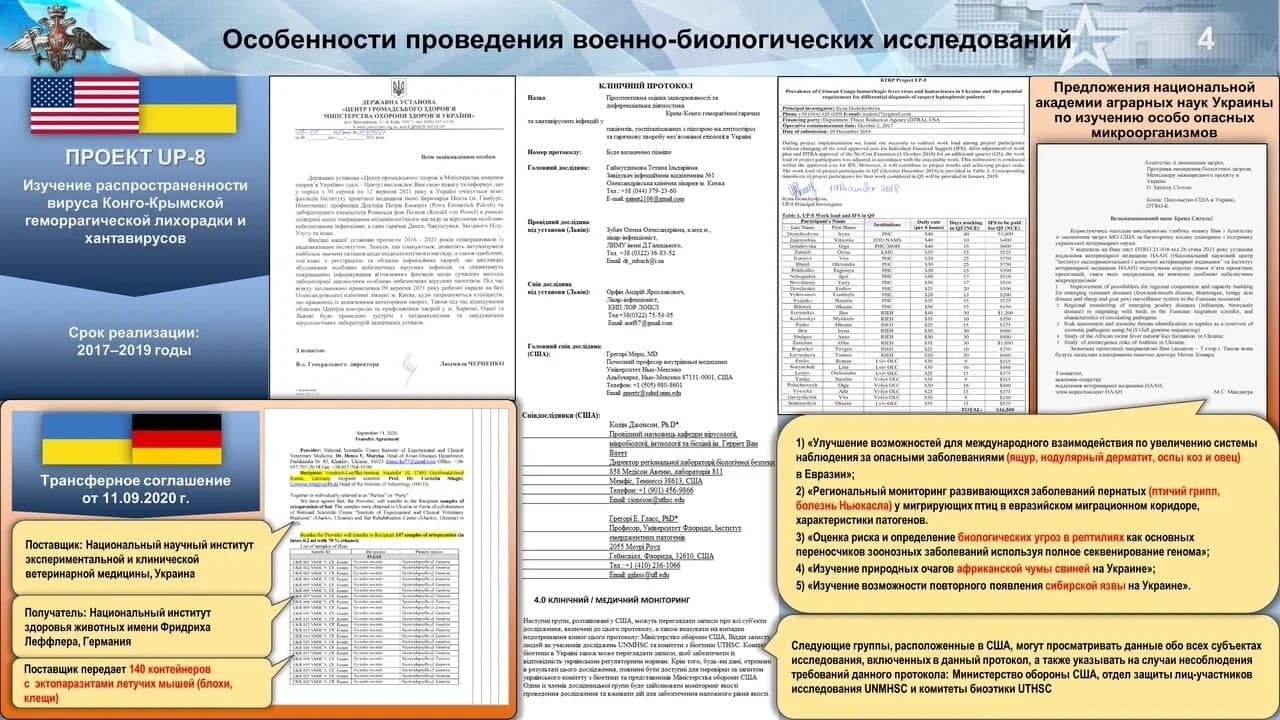 Документы. Фото: Telegram/360tv