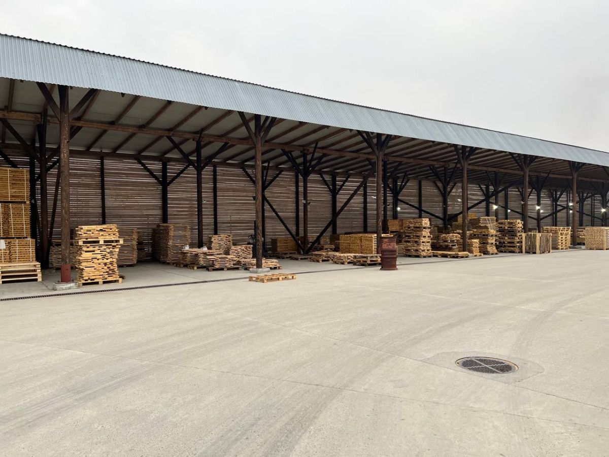 Фото: Wood international