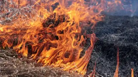 На Полтавщині за підпал сухостою семеро “героїв-паліїв” будуть копати траншеї