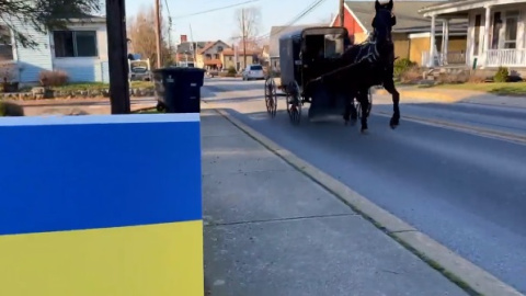 Амиши за Украину. Скриншот видео Дениса Фраевича