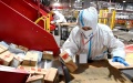 A staff member sorts packages at a logistics center in Xi'an, capital of northwest China's Shaanxi Province. Photo by Xinhua/Liu Xiao.