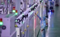 Staff members work at a monocrystalline silicon solar cell factory of LONGi Green Energy Technology Co., Ltd.. Photo by Xinhua/Shao Rui.