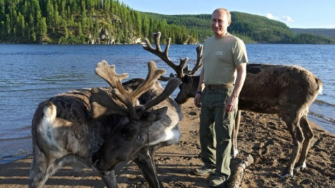 Олені та Путін. Фото: regnum.ru