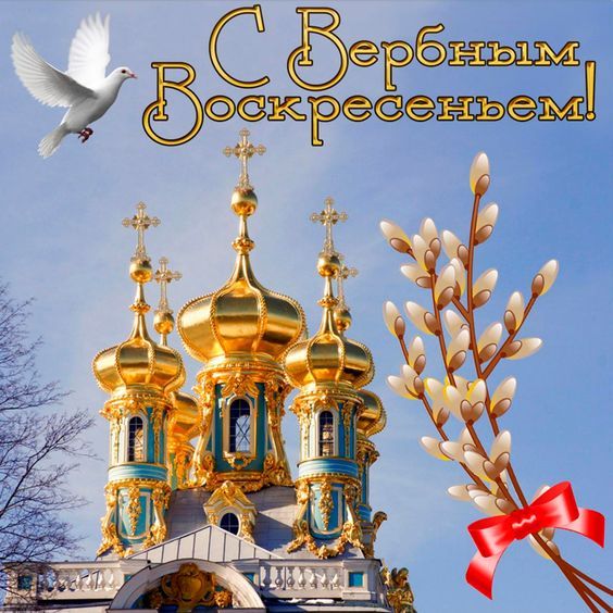 Картинка: pinterest