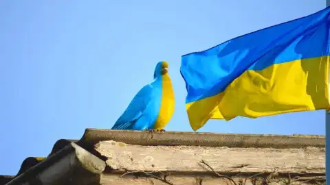 Флаг Украины. Фото: pixabay