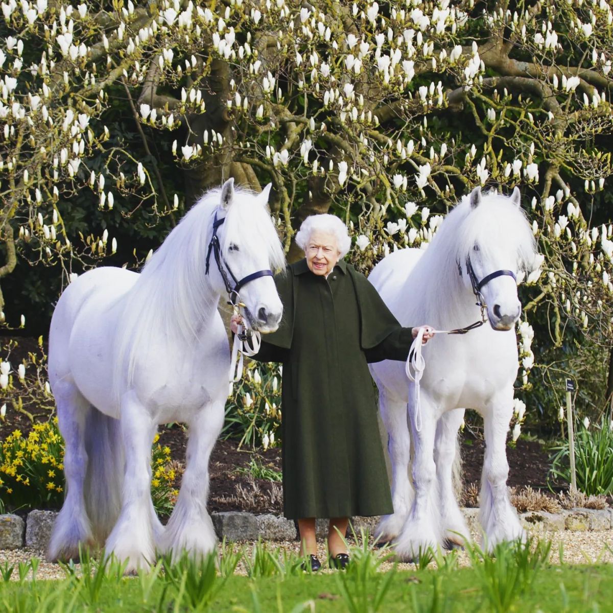 Королева Великобритании Елизавета II. Фото: Instagram/theroyalfamily