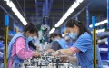 Workers process wiring harness at a factory in Anshan, northeast China's Liaoning Province. Photo by Xinhua/Wang Yijie.