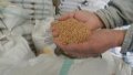 Ukraine Reduces Grain Exports By 48.3%