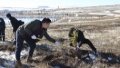 People plant trees in Nalaikh District of Ulan Bator, Mongolia. Photo by Suriya/Xinhua.