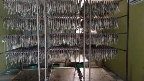 Полиция Полтавщины зарегистрировала более 60 уголовных производств за браконьерство рыбы в области