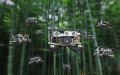 Fully autonomous drone swarms are flying in the forest. Photo by Xinhua.