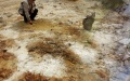 Remediating cadmium-contaminated water, soil. Photo by Xinhua.