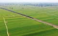Wheat fields in Xiaowei Village, Shipogu Township, Yanjin County of Xinxiang City, central China's Henan Province. Photo by Xinhua/Zhang Haoran.