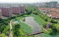 A natural pond that helps reserve precipitation in the ecological corridor in Qian'an City of north China's Hebei Province. Photo by Xinhua/Mu Yu.