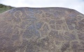 Ancient petroglyphs depicting animals found in China. Photo by Xinhua.