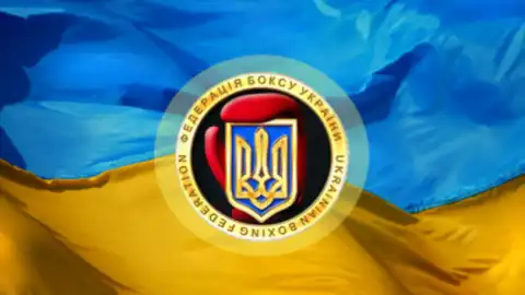 В Федерации бокса заявили о рейдерском захвате