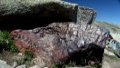 An iron meteorite in Altay, northwest China's Xinjiang Uygur Autonomous Region. Photo by Xinhua/Shi Zhiqiang.