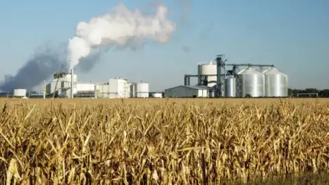 KSG Agro и компания Makarony Polskie (Польша) заключили меморандум о сотрудничестве в переработке и торговле растительным маслом и зерновыми