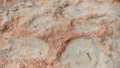 4,300 dinosaur footprints found in north China. Photo by Xinhua.