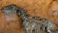 Cleaning 8-tonne dinosaur fossils. Photo by Xinhua.