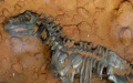 Cleaning 8-tonne dinosaur fossils. Photo by Xinhua.