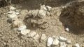 8 million-year-old hipparion fossils found in Xinjiang. Photo by Xinhua.