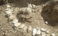 8 million-year-old hipparion fossils found in Xinjiang. Photo by Xinhua.