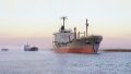 Danube Ports Process Record 11.5 Million Tons Of Cargo Over 5 Months