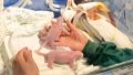 Twin cubs of giant panda Ershun at Chongqing Zoo in southwest China's Chongqing Municipality. Photo by Chongqing Zoo/Handout via Xinhua.