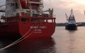 Record-Breaking Number Of Vessels Passed Through Ukraine Over Day