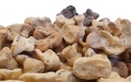 The picture shows knucklebone dices discovered in Israel. Photo by Israel Antiquities Authority/Xinhua.