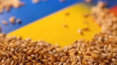 Экспорт украинского зерна. Иллюстрация из открытых источников